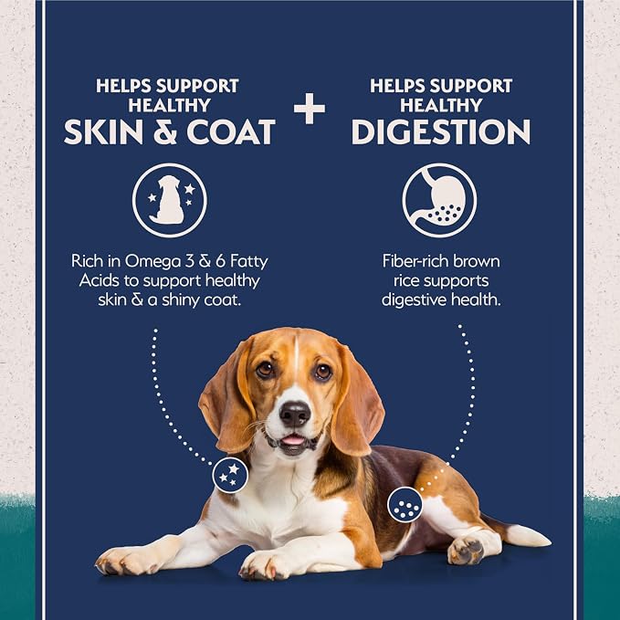 Natural Balance Limited Ingredient, Chicken & Brown Rice, 4 lb | Dry Dog Food with Wholesome Grains, Balanced Nutrition for Adult Dogs with Sensitivities, Skin and Stomach Support