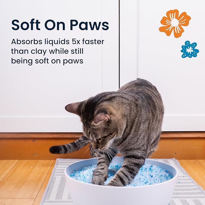 Crystal Clean Premium Fresh Scent Crystal Cat Litter with Odor Control (5X Faster), Best Lightweight, Non Clumping Kitty Litter to Absorb Urine, Dries Solid Waste (2X4.3 Lb Bags)