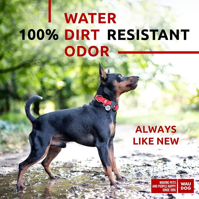 WAUDOG Waterproof Dog Collar Airtag Holder QR Tag Small Medium Large Dogs | Water and Dirt Resistant, Quick Dry QR Pet Tag Adjustable Durable Comfort for Male and Female Dogs Outdoor Walking Training