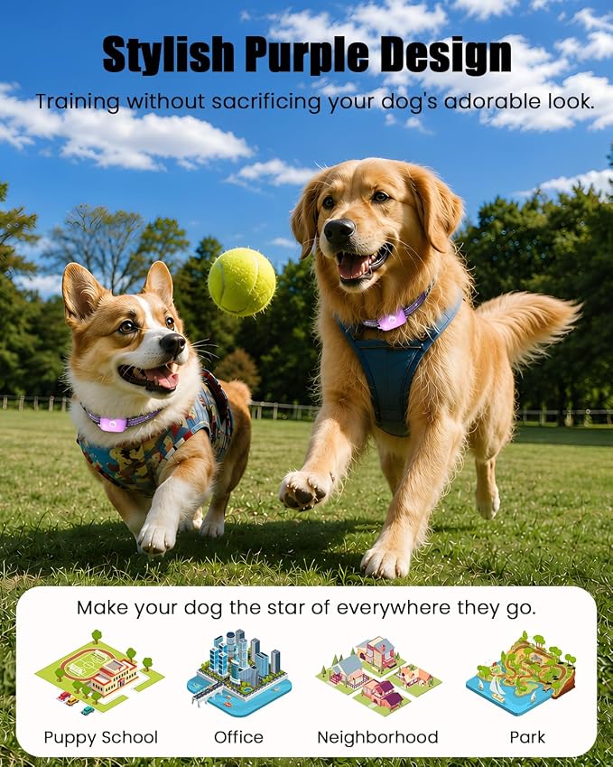 Shock Collar for Dogs 2 Pack,2600FT Dog Training Collar with Remote