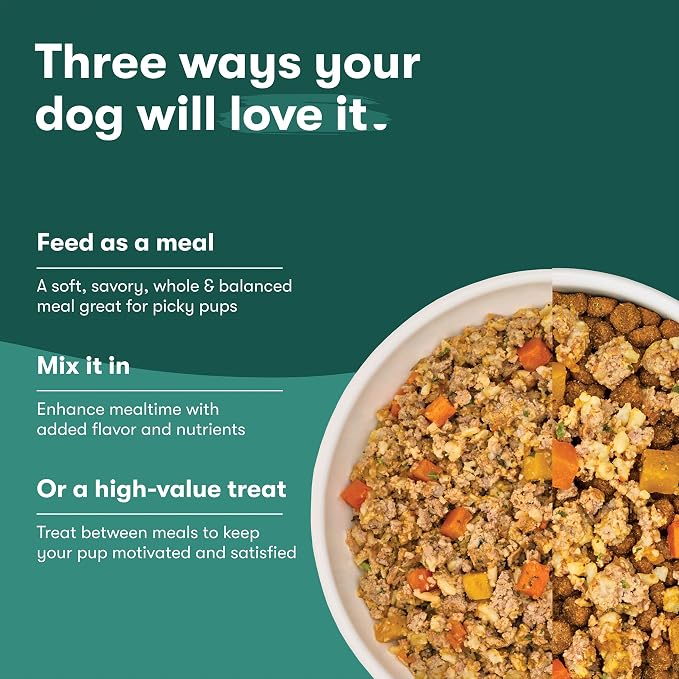 Jinx Grain Free Dry Dog Food - Real Lamb, Sweet Potato & Carrot, 4lb | Premium Kibble for Digestive Support & Healthy Immunity - No Fillers, All Lifestages (Puppy, Adult & Senior), Breeds & Sizes