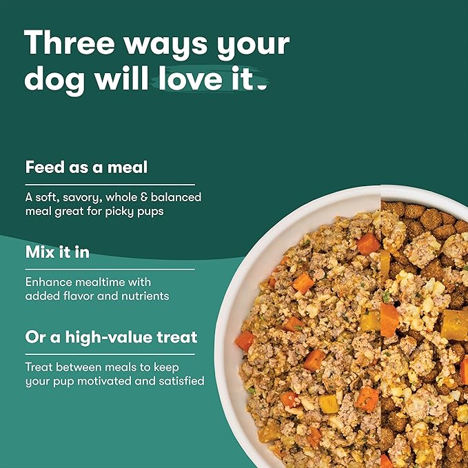 Jinx Premium Grain-Free Dry Dog Food, for All Lifestages - Grass-Fed Lamb, Sweet Potato & Carrot Dog Food with Superfoods for Immune Support & Probiotics for Digestive Support - No Fillers - 4lb