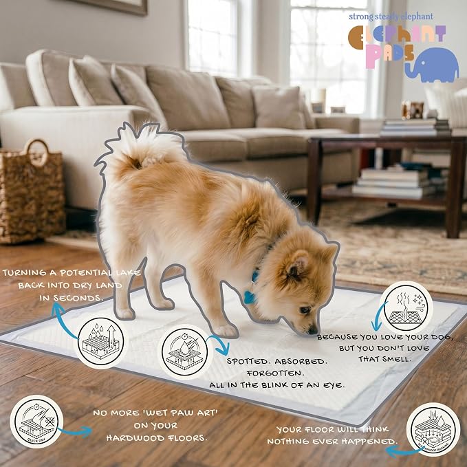 22x22 Large 80 Count Quick Drying Super Absorbent Pee Pads | Leak-Proof Unscented White Potty Training Puppy Pads for Dogs, Premium Quality Heavy Duty Absorbent Disposal Pads