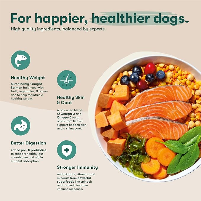 Jinx Grain Free Dry Dog Food - Real Salmon, Sweet Potato & Carrot, 30lb | Premium Kibble for Digestive Support & Healthy Immunity - No Fillers, All Lifestages (Puppy, Adult & Senior), Breeds & Sizes