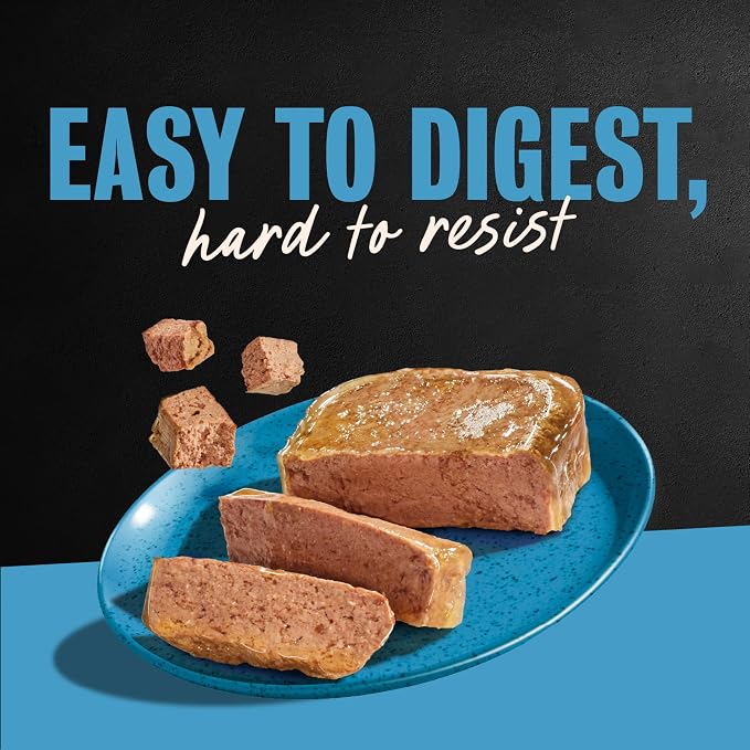 Cesar Classic Loaf in Sauce Wet Dog Food, Lamb Recipe, 3.5 oz, 24 Count | Made in USA, Real lamb #1 ingredient, no fillers, no added sugar, no artificial flavors, slow-cooked, easy peel trays