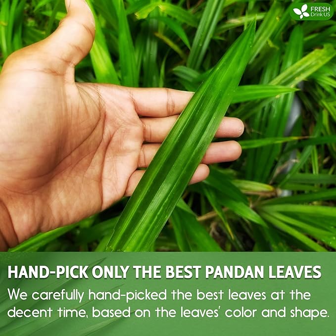 FreshDrinkUS, Premium 30 Pandan Leaf Tea Bags, 100% Natural & Pure from Pandan Leaves. Loose Leaf Pandan Herbal Tea. Made with Natural Material Tea Bags. No Sugar, No Caffeine, No Gluten, Vegan. (30 Tea bags)