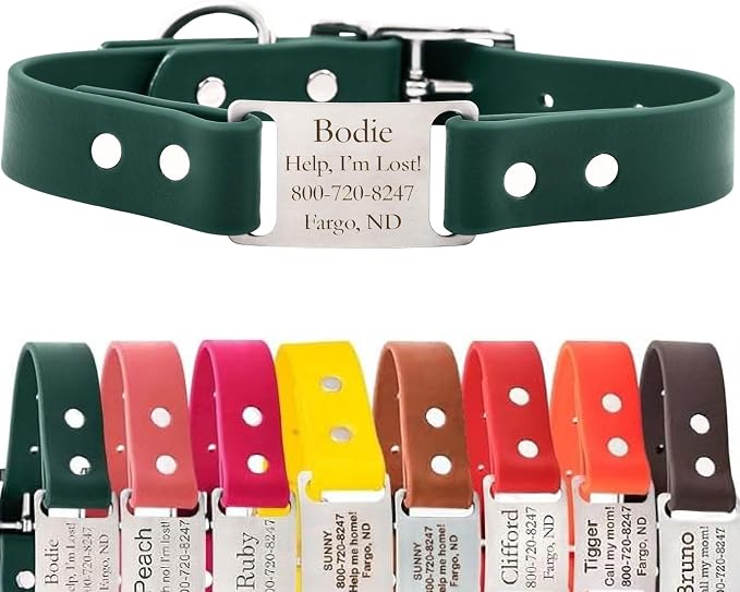 dogIDs Personalized Dog Collar – ScruffTag Custom Waterproof Biothane Dog Collar with Laser-Engraved Name, Durable & Odor-Resistant – USA Made | Hunter Green, 1 in x 18 in (Fits Neck Sizes 16-20 in)