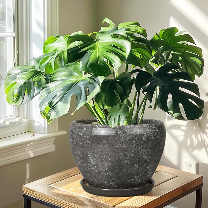 Ceramicfor Ceramic Planters for Indoor Plants - 10 Inch Plant Pot with Drainage Hole and Saucer, Large Flower Pot for Home Decor, Gray
