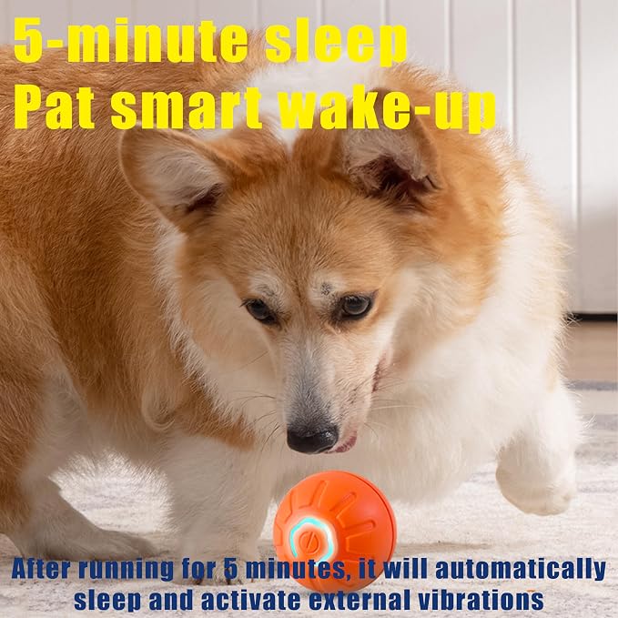 BIONEMAGILI Interactive Self-Moving Pet Toy Ball - Motion-Activated Auto Rolling, Military-Grade Chew Resistant, USB-C Rechargeable for Small Dogs & Cats (Orange/S/New3)