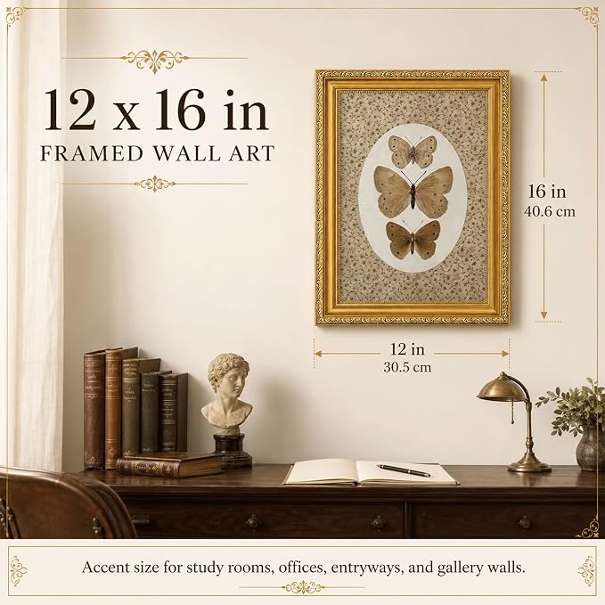 Vintage Butterfly Specimen Wall Art, Gold Framed Canvas Print | Vintage butterfly specimen wall art with gold frame, suitable for study room, office, and gallery wall decoration.