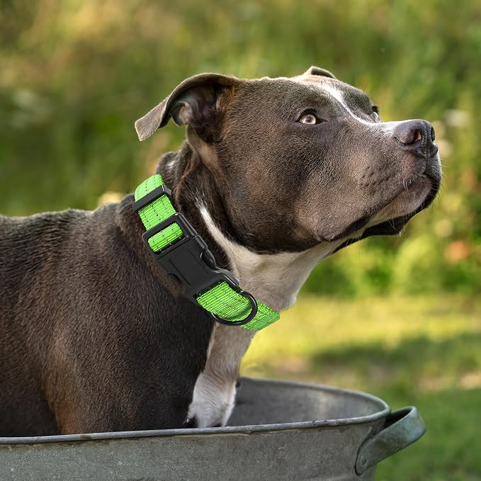 Mile High Life Reflective Dog Collar, Adjustable Lightweight Quick Release