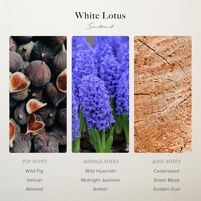 Scentiment Diffuser Oil - White Lotus | Aromatherapy Home Fragrance | Inspired by 5-Star Hotels | Luxurious Scent with Notes of Wild Fig, Vetiver, Almond, Sandalwood (500 mL)