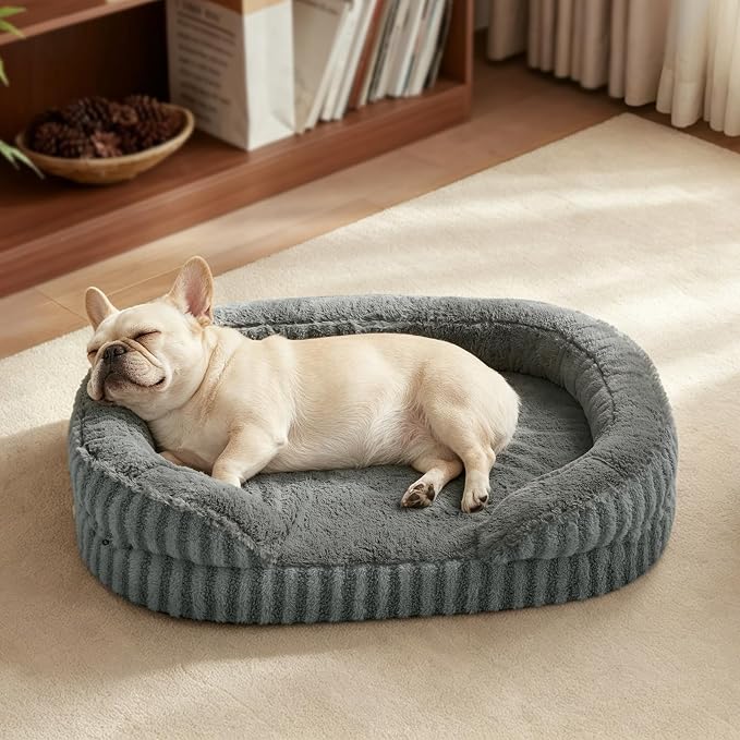 MIXJOY Orthopedic Dog Beds Medium Sized Dog,Medium Waterproof Oval Dog Bed with Removable Washable Cover,Egg-Crate Foam Big Pet Bed Couch Sofa with Bolster Sides,Non-Slip Bottom,M 28"X23",Grey