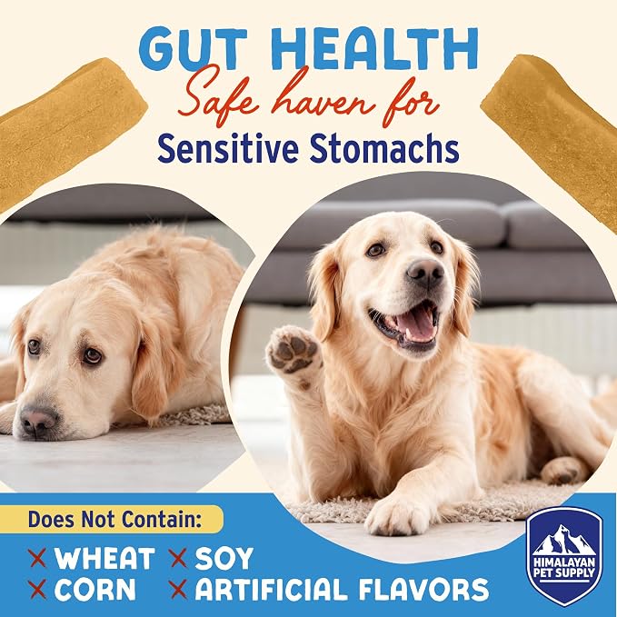 Himalayan Dog Chew Yogurt Sticks, Probiotic Treats, Apple Honey, 5 Treats | Dog Chews With Prebiotics, Probiotics & Protein, Digestive Support, Lactose & Gluten Free, Natural Dog Treats for All Breeds