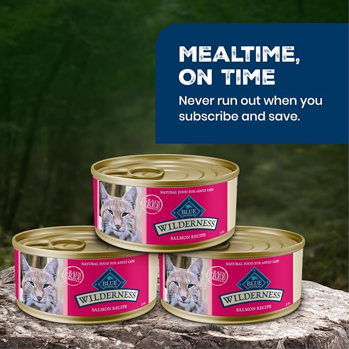 Blue Buffalo Wilderness Salmon Paté Adult Wet Cat Food, 3 oz, 24 ct | Real Salmon #1 Ingredients, High Protein & Grain-Free Recipes, Supports Energy for an Active Life