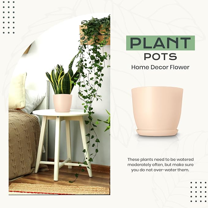 Plant Pots Indoor with Drainage, 10 Pack Multi-Size Planters Set, Pink | Drainage holes included Multiple sizes 7/6.6/6/5.3/4.8 In Indoor plants and flowers Durable plastic construction