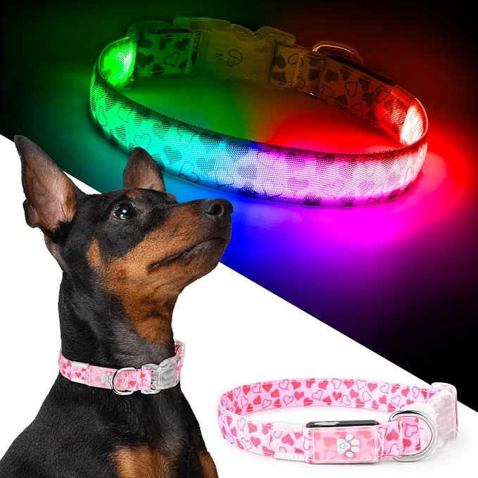 Light up Dog Collar Rechargable - Multicolor LED Dog Collar, 7 Colors Safety Dog Lights with Battery Indicator, Waterproof and Adjustable Heart Print Glow Collar for Dogs (Pink Heart, L)