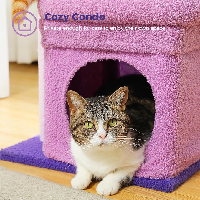PEQULTI Indoor Cat Tree Tower Small Cats, Sisal Post & Cozy Condo, Purple | Private soft cat condo, soft top perch, natural sisal scratch posts, plush pom-pom toy for indoor kitties