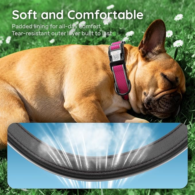 Reflective Dog Collar for Large Dogs,Personalized Dog Collar with Online Profile, Soft Neoprene Padded,Anti-Lose Function with QR Code Tag System,Rose Red L