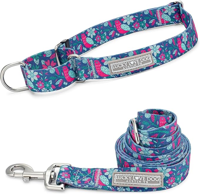 Lucky Love Dog Martingale Collar & Leash Set No Slip – Carriebelle, Large