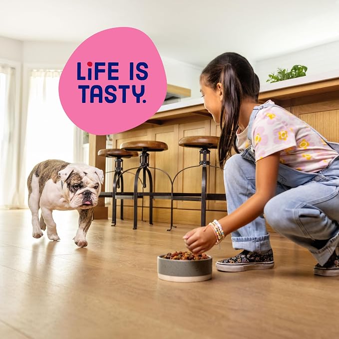 Kibbles 'n Bits Mini Bits Small Breed Dry Dog Food, 3.5 lb. Bag | Complete & Balanced Nutrition Formulated For Small Adult Dogs With Easy-To-Chew Bites Of Savory Bacon & Steak Flavors