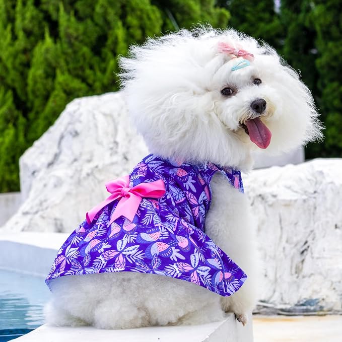 CuteBone Dog Mesh Dress Puppy Sundress Pet Outfit Summer Fashion for Small Dogs Girl Cat Clothes