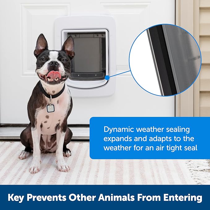 PetSafe SmartDoor Connected Pet Door, App Controlled, Large | Selective Entry/Exit, Custom Schedules, Remote Lock & Phone Notifications via My PetSafe App, Multi-Pet Friendly