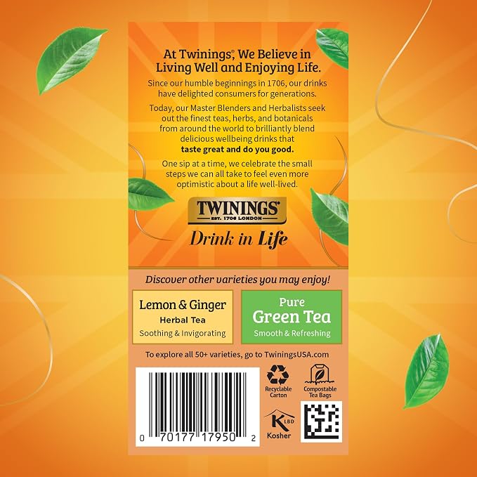 Twinings Orange & Cinnamon Spice Herbal Tea Individually Wrapped Bags, 20 Count (Pack of 1), Naturally Caffeine-Free, Enjoy Hot or Iced, 20 Teabags