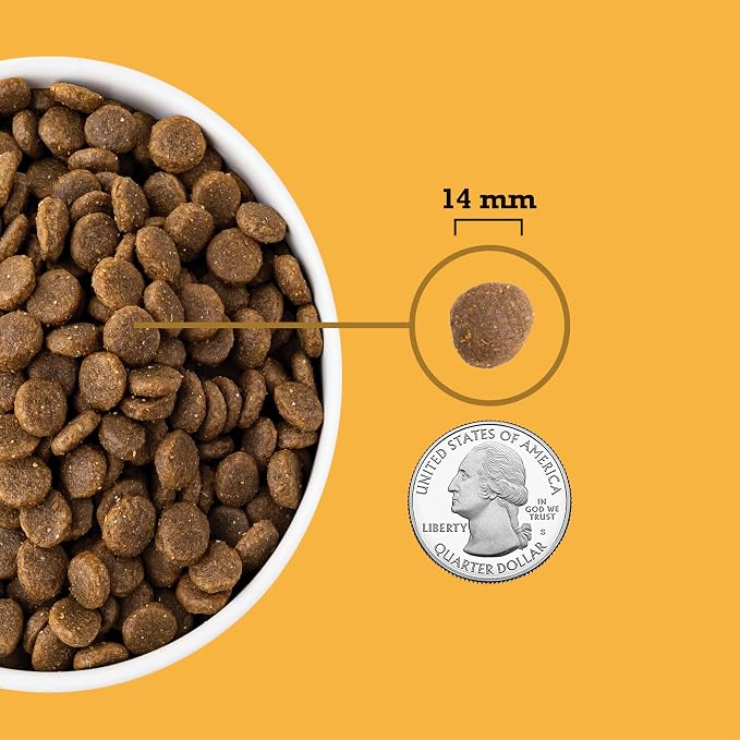 ACANA Grain Free Dry Dog Food Free Run Poultry Recipe 13lb Bag | Grain Free, High Protein, Made in the USA, Includes Probiotics, Omega-3 Fatty Acids, Free-Run Poultry