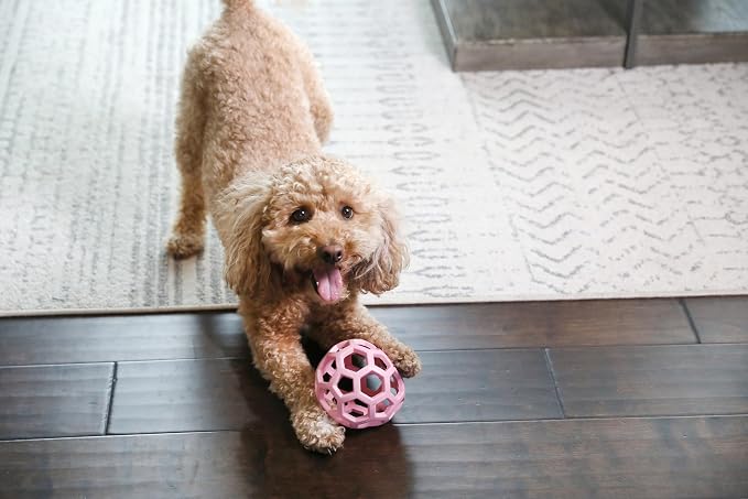 JW Pet HOL-ee Roller Dog Puzzle Ball, Medium 4.5in, Natural Rubber, Pink