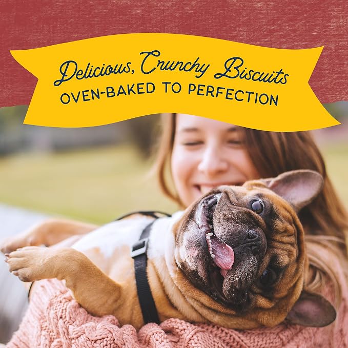 Natural Balance Rewards, Crunchy Biscuits, Bison, 14 oz | Grain-Free Dog Treats for Adult Dogs, Limited-Ingredient Recipe, Made with Real Ingredients, Great for Training