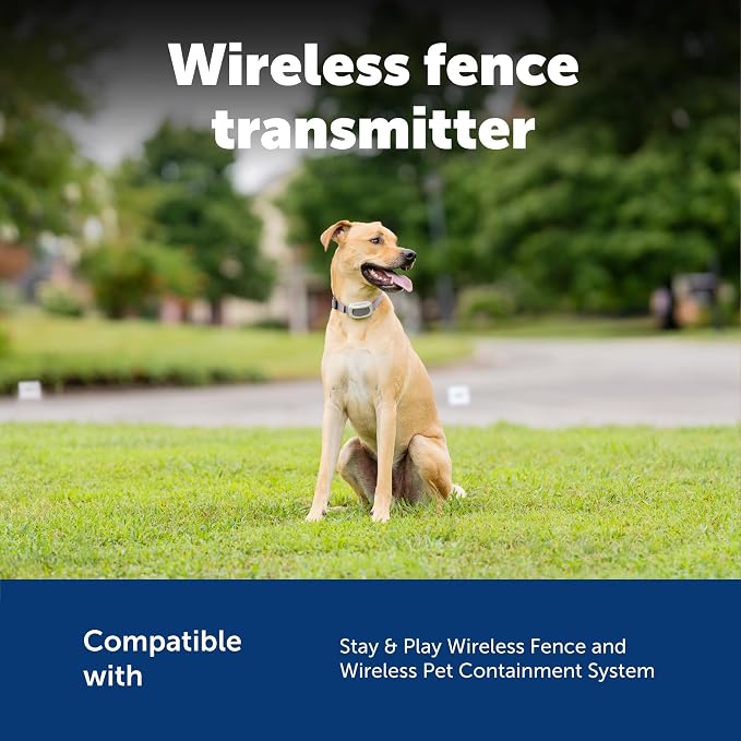 PetSafe Wireless Fence Extra Transmitter, Increase Your Existing Wireless Fence Boundary – Pet Containment for Dogs and Cats - From the Parent Company of the INVISIBLE FENCE Brand, Gray | Base Unit Only, Replacement, Extra, Expand Existing PetSafe Wire...