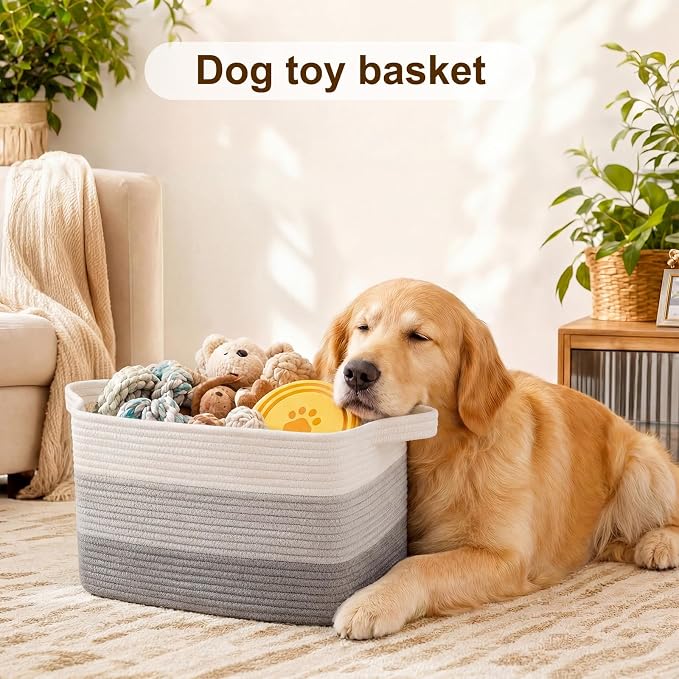 OIAHOMY Storage Basket, Woven Baskets for Storage, Cotton Rope Basket for toys,Towel Baskets for Bathroom - Pack of 3, Gradient Gray
