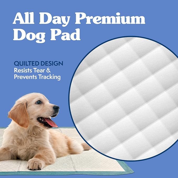 Simple Solution XL Pee Pads for Dogs, Leak Proof Dog Pads, 28x30, 100 Count | Dog Training Pads, Puppy Potty Training, Housebreaking, Disposable Pee Pads, Floor Protection, Indoor Potty, Puppy Essentials