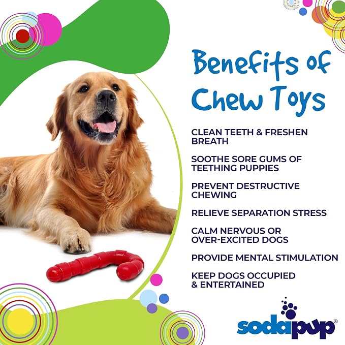 SodaPup Candy Cane – Durable Dog Chew Toy Made in USA from Non-Toxic, Pet Safe, Food Safe Nylon Material for Mental Stimulation, Clean Teeth, Fresh Breath, Problem Chewing, Calming Nerves, & More
