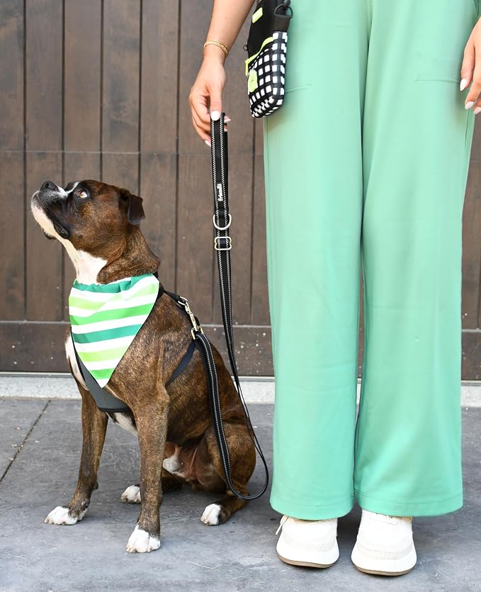 Neoprene Dog Treat Pouch – Compact Shoulder Bag with Food Storage, Waste Bag Dispenser, Durable, Lightweight, Easy Access, Adjustable Strap, Ideal for Walks & Training Sessions