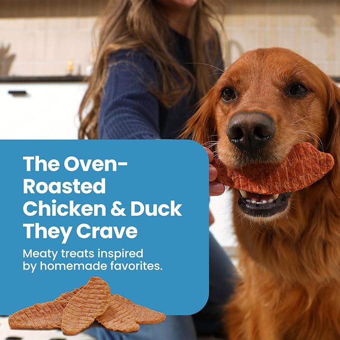 Blue Buffalo Nudges Jerky Cuts Chicken & Duck Dog Treats, 36 oz | Real Chicken & Duck First, Made in the USA, No Corn, Wheat, or Soy