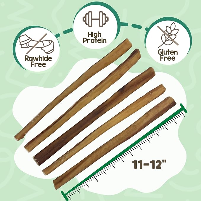 Nature Gnaws Large Bully Sticks 6" Rawhide Free Dog Chews, 10 Count | Thick Long Lasting for Aggressive Chewers and Large Dogs - Natural Beef Dog Chew Bones - No Artificial Preservatives