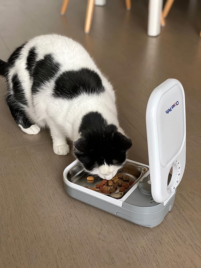 Closer Pets C100 1-Meal Automatic Pet Feeder for Dry & Wet Food, White