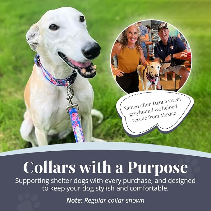 Lucky Love Dog Martingale Collar and Leash Set for Small Dogs – Zuzu, Small