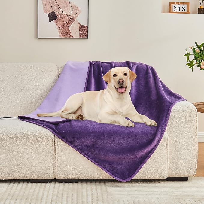 Waterproof Blanket Bed Cover 60"x80" for Adults or Pets, Dark Purple | Soft Pet Blanket for Dogs Cats, Reversible Leakproof Blanket for Bed Couch Sofa, Furniture Protector
