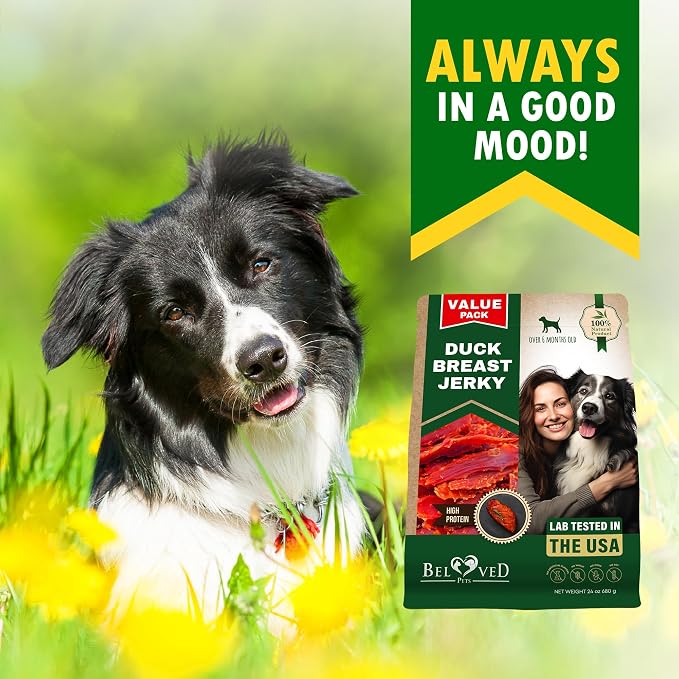 Beloved Pets Dog Treats Duck Jerky Breast - Human Grade Meat Sticks - Natural Pet Dried Snacks Rawhide - Free - Long Lasting Chews for Large & Small Dogs (24 oz (Pack of 1), Duck Jerky Breast)