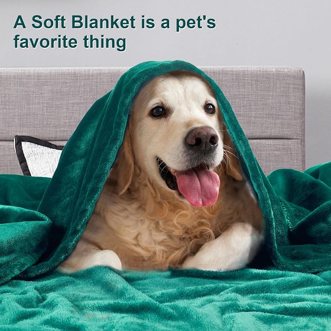 DREAMNINE Extra Large Soft Comfy Fluffy Fleece Bed Blanket King Size 90" x 108",Luxury Decorative Fuzzy Blanket for Women Girl,Big Cozy Shaggy Warm Flannel Blankets for Winter Autumn Pets,Forest Green