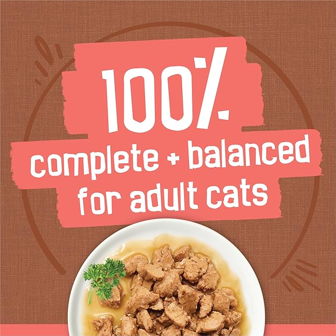 Friskies Purina Extra Gravy Wet Cat Food Chunky Variety Pack (with Chicken,Turkey,Salmon,Beef) - 5.5 oz. Cans,(Pack of 48)