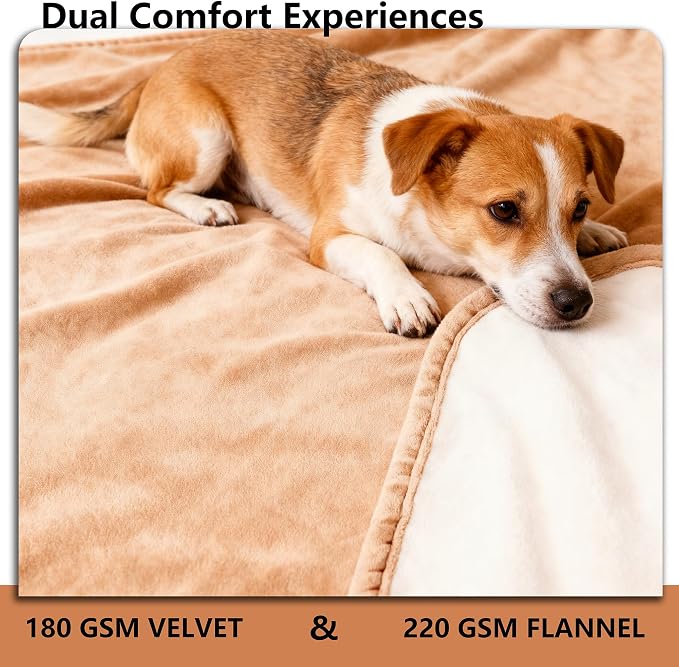 Waterproof Blanket - Reversible Dog Throw as Furniture Protector | Soft Velvet & Flannel, TPU Leak-Proof Liner, Machine Washable, Fits Couch and Bed, 68" x 82", Orange/Cream