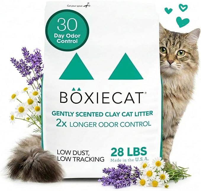 Boxie Premium Scented Clumping Cat Litter 30+ Day Odor Control 28 lb