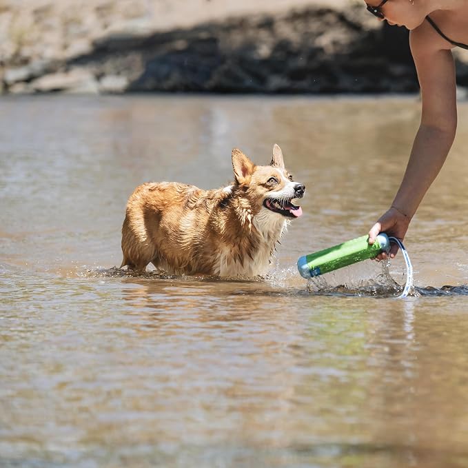 Chuckit! Amphibious Bumper Dog Fetch Toy, Small, Floats, for Water Play