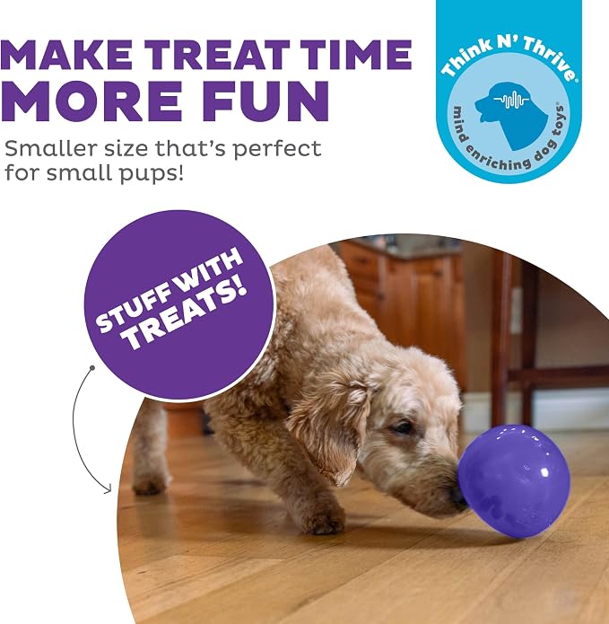 Outward Hound Lil' Snoop Interactive Treat Dispensing Dog Toy, Purple, 3.9" | Rolls & Bounces, Treat Stuffer, Puzzle Ball & Slow Feeder, Mint Scented, Easy Clean, No BPA, Enrichment, Small to Medium Dogs