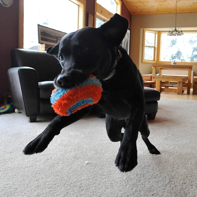 Chuckit! Indoor Fetch Roller Toy for Dogs - Interactive Dog Toys for Boredom, Orange and Blue 4.7 inches (Pack of 12)