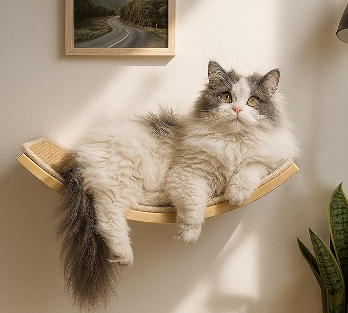 Wood Cat Wall Curved Bed with Sisal Mat, Cats Shelf for Sleeping Scratching | Ergonomic Curved Design, Scratchable Sisal Pad, Wall Mounted